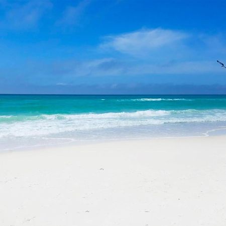 Horizon South 38B Villa Panama City Beach Dış mekan fotoğraf